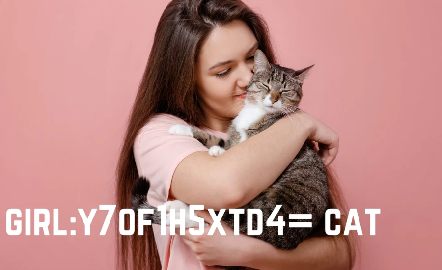 Girl:y7of1h5xtd4= cat