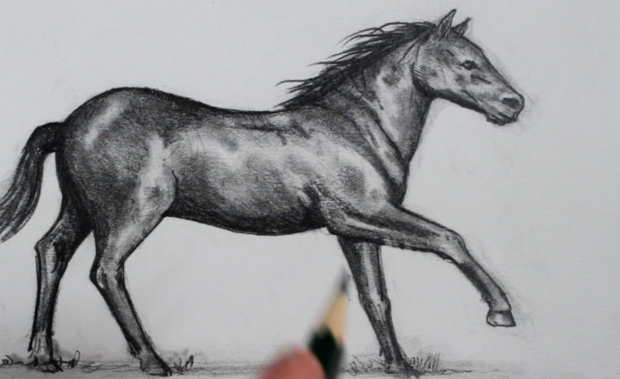 Drawing:v74uyhgg9tq= Horse