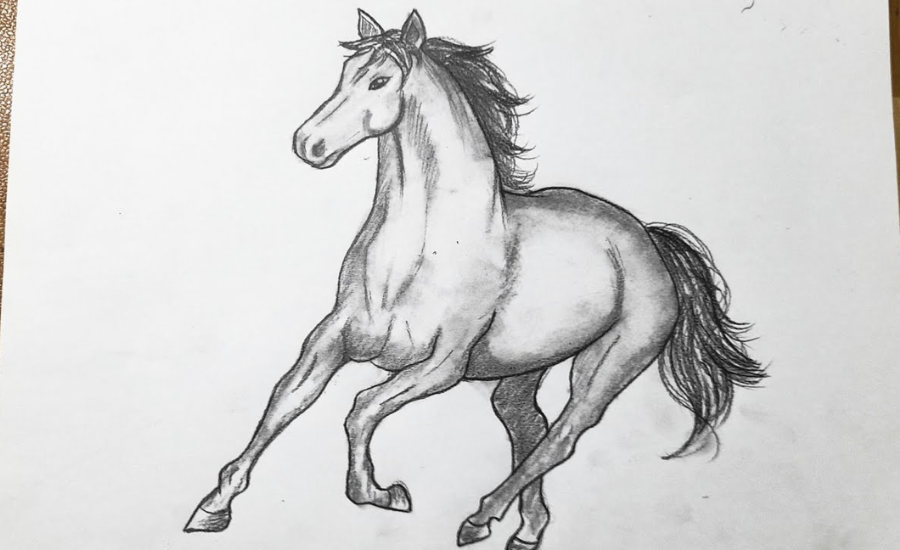 Drawing:v74uyhgg9tq= Horse