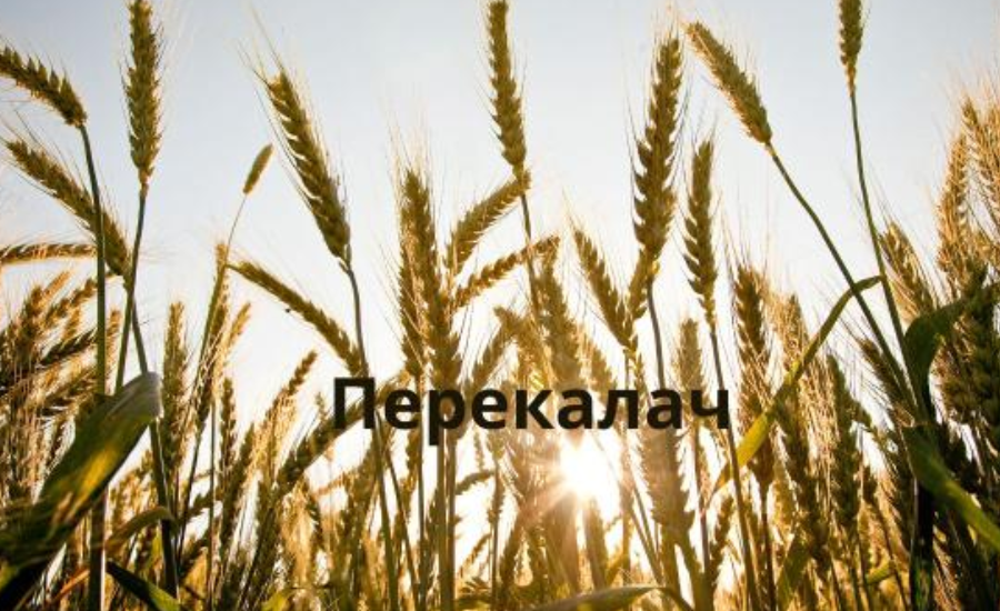 Перекалач