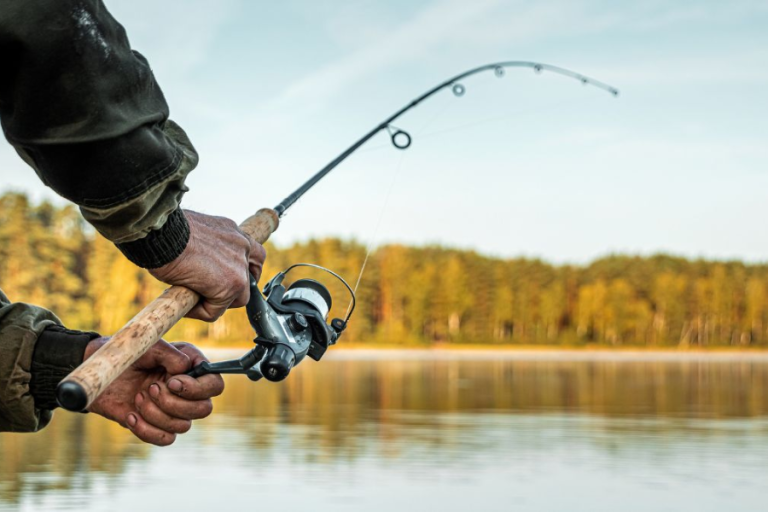 The Art of Fishing: Techniques and Tips for a Successful Catch